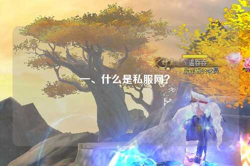一、什么是私服网？